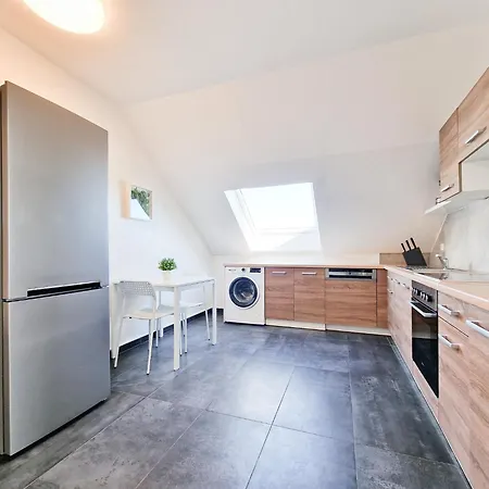 Tolstov - 4 - 30 Min Messe Dus Daire *