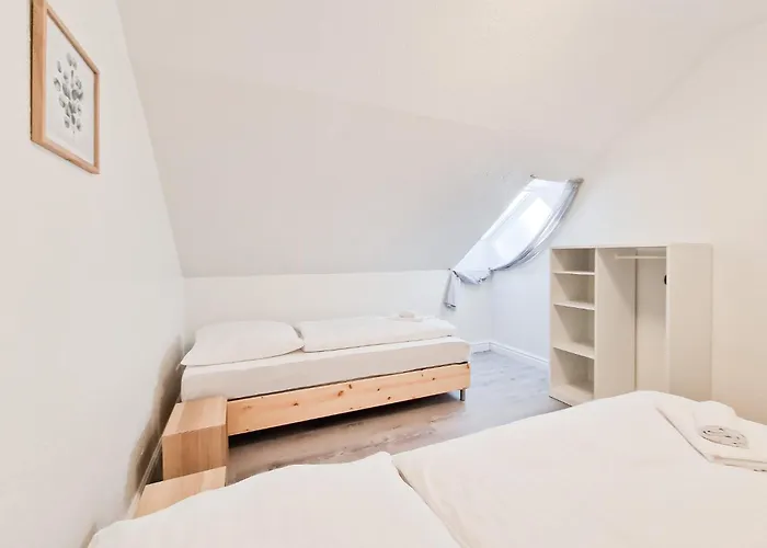 Tolstov - 4 - 30 Min Messe Dus * Neuss