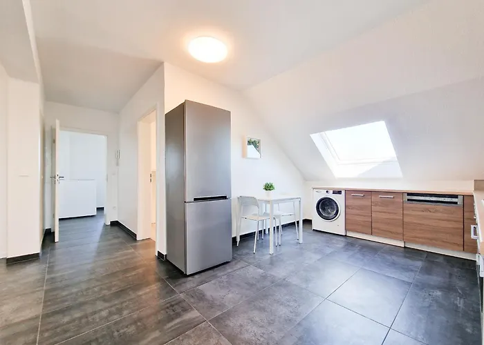 Tolstov - 4 - 30 Min Messe Dus * Neuss