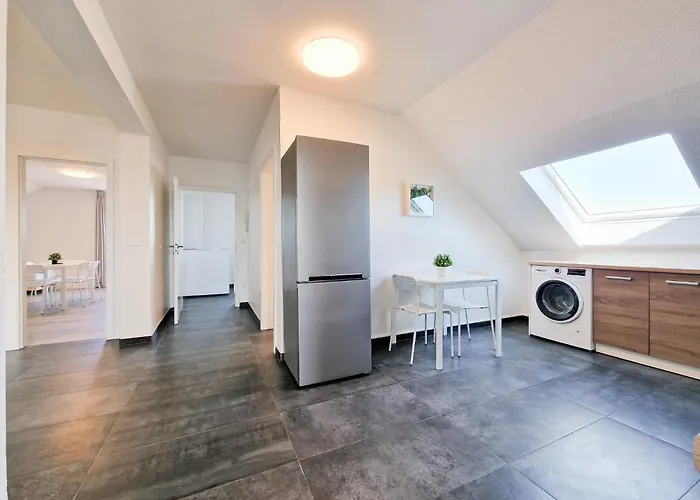 Tolstov - 4 - 30 Min Messe Dus * Neuss